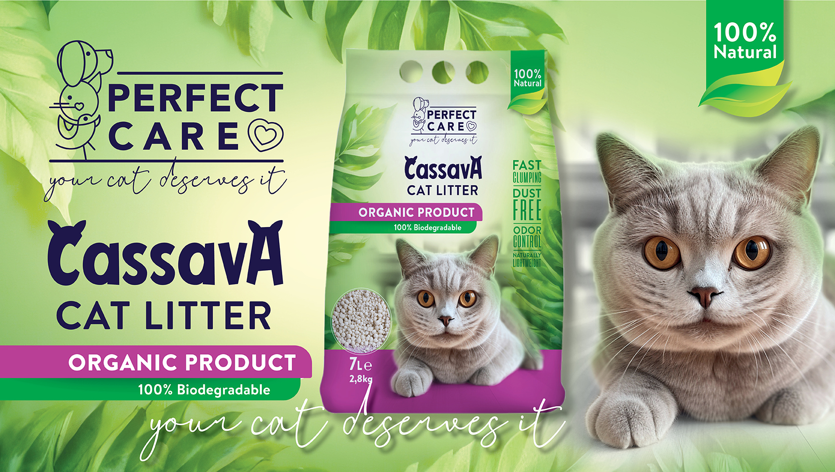 PERFECT CASSAVA banner